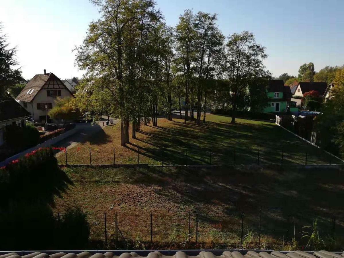 Appart Les Cerises Entre Strasbourg Et Haguenau Bischwiller Ngoại thất bức ảnh