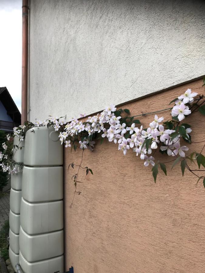Appart Les Cerises Entre Strasbourg Et Haguenau Bischwiller Ngoại thất bức ảnh