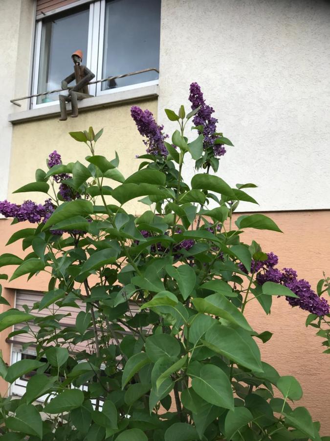 Appart Les Cerises Entre Strasbourg Et Haguenau Bischwiller Ngoại thất bức ảnh